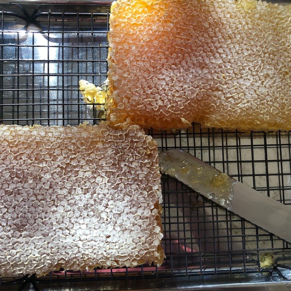 Cut Comb Honey